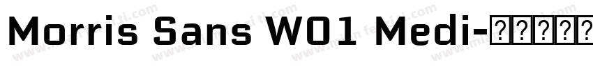 Morris Sans W01 Medi字体转换